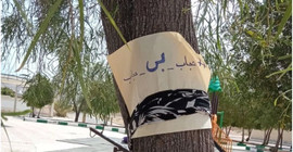 İran'da kadınlar 'Tesettür ve İffet Günü'ne karşı eylemde