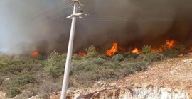 Muğla'da çıkan yangın kontrol altına alındı