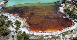 Bahamalar’da petrol faciası