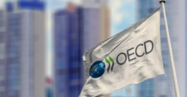 OECD Türkiye Masası Şefi Machlica: Politika faizi güven ortamı için artırılmalı
