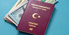 'Kaç kişiye parayla vatandaşlık verilmiştir?' sorusuna Soylu'dan yanıt: Yönetmeliğe göre yapılmaktadır