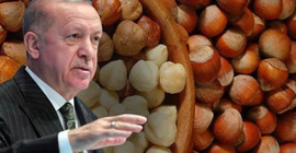 Erdoğan açıkladı: Fındık taban fiyatı 54 TL