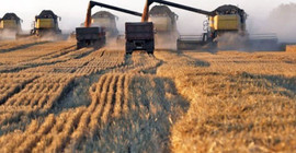 Suriye’ye Rus tahılı taşırken Lübnan'da tutuklanan gemi serbest bırakıldı