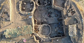 Prof. Dr. Ökse Gre Fılla’yı anlattı: Göbeklitepe'deki gibi özel