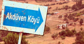 Yaban hayvanının ısırdığı inek kuduz çıktı, Dersim'de bir köy karantinaya alındı