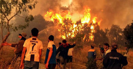 Cezayir’de orman yangınları: 26 ölü