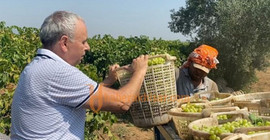 Ahmet Vehbi Bakırlıoğlu: 27 lira kurum üzüm fiyatı ile ancak 1 litre mazot alınabiliyor