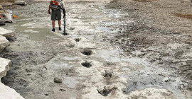 Kuraklık ABD'de 113 milyon yıllık dinozor ayak izlerini ortaya çıkardı