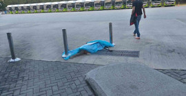 Yolcu otobüsünde bagaja konan köpek öldü