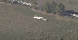 ABD'de iki küçük uçak çarpıştı: 3 ölü