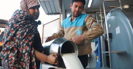 Maliyetleri artan süt üreticileri destek bekliyor: 'Böyle giderse peynir lüks olacak'