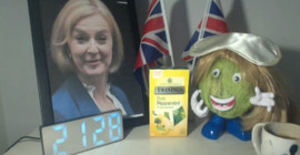 'Raf ömrü' yarışmasının galibi, göbek marul: Sarı peruklu marul Liz Truss'ı devirdi