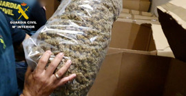 İspanya'da tarihin en büyük uyuşturucu operasyonu: 32 ton marijuana ele geçirildi