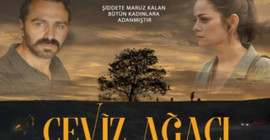 'Ceviz Ağacı' Brezilya'dan 'En İyi Film' ödülü aldı