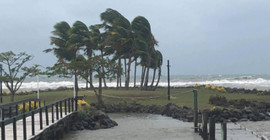 Araştırma: İklim krizi dünyada otokrasiyi güçlendirebilir