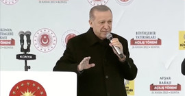 Erdoğan: Kimse hayvanlara eziyet edemez