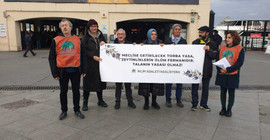 Çevrecilerden ‘zeytinlikler madene açılmasın’ eylemi
