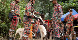 Malezya'daki ruhsatsız kamp alanındaki heyelanda ölenlerin sayısı yükseliyor