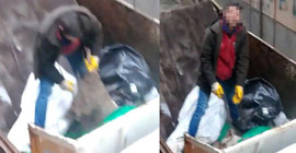 Köpeğin üzerine moloz dökülmesine çifte soruşturma