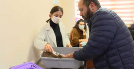 İstanbul İl Tarım Müdürü: 220 bin kedi, 103 bin köpeğe çip takıldı