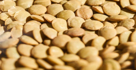 Aklınızda bulunsun. Mercimek pişirirken ziyan etmeyin- Çok faydalıymış.. Çöpe atıyorduk *