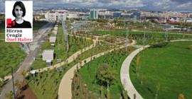 Millet bahçelerinin anatomisi: Zarardan kazananların yeşili