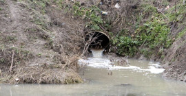 Edirne'nin kanalizasyon suları, Tunca Nehri'ne akıyor: 'Yaşamsal riskler ortaya çıkıyor’