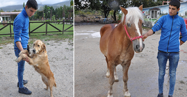 Atı ve köpeği de ihaleyle sattılar