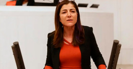 HDP'li Gülüm'den gazeteci Aygül'e yönelik soruşturmalarla ilgili önerge