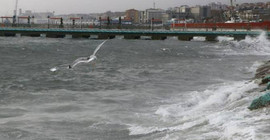Deprem sonrasında İskenderun'da deniz seviyesi yükseldi, bazı caddeler su altında kaldı