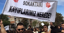 Eyüp Belediyesi sokak köpeklerine ne yapıyor?