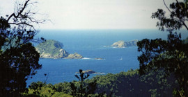 Yeni Zelanda'da 6,9 büyüklüğünde deprem