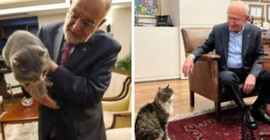 Karamollaoğlu da 'Duman'ı tanıttı: Yaş mama konusunda Şero ile aynı fikirde