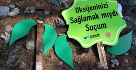 Protesto ağaçları da söküldü
