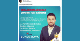 AKP'li Meclis üyesi deprem günlerinde servetini devretti: Firariyken 85 araç satmış