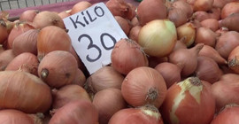 Bakanlıktan 'soğan' açıklaması: Halkımızın ihtiyacını fazlasıyla karşılayacak seviyededir