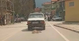 Ahmet Daşçı isimli kişi, bir köpeği otomobiline bağlayarak katletti