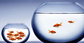 Türkiye'de zenginler toplam gelirin yüzde 48'ini, yoksullar yüzde 6'sını alıyor