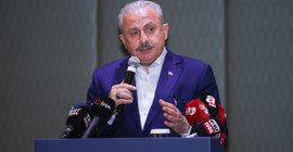 Şentop'tan anket firmalarına 'Muharrem İnce' suçlaması: 'Operasyonun bir ayağı da onlar'