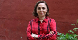 Mahkeme, gazeteci Ayşegül Doğan’ın milletvekili seçilip seçilmediğini il seçim kuruluna soracak