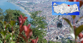 Ordu seçim sonuçları - 28 Mayıs 2023 Cumhurbaşkanlığı seçimleri oy oranları