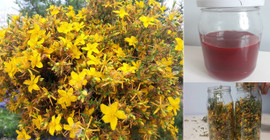 1 damla bile saça veya cilde sürmek yetiyor: Kuruluğu önlüyor, canlılık sağlıyor...