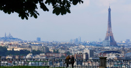 Paris belediyesi, 'farelerle birlikte yaşamı’ incelemek için komite kuracak