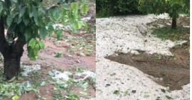 Tokat'ta sağanak yağış ve dolu: Meyve ağaçları zarar gördü