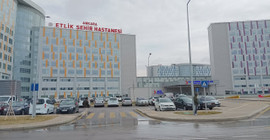 Bakan Koca açılışında övgüyle bahsetmişti: Ankara'daki Etlik Şehir Hastanesi’ni su bastı