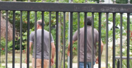 Kayıp olarak aranan Yıldız'ın cenazesi Büyükada'da bulundu
