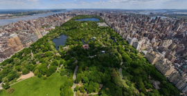 'Erdoğan AKM değil Central Park istiyor'