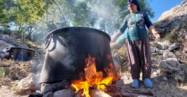 Dersim'de köylüler dut hasadı ve pekmez yapımına başladı