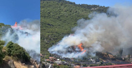 İzmir'de üç orman yangını