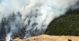 Kaş'ta makilik alanda yangın kontrol altına alındı